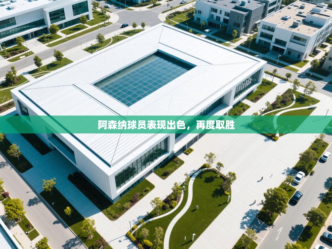 阿森纳球员表现出色，再度取胜  第2张