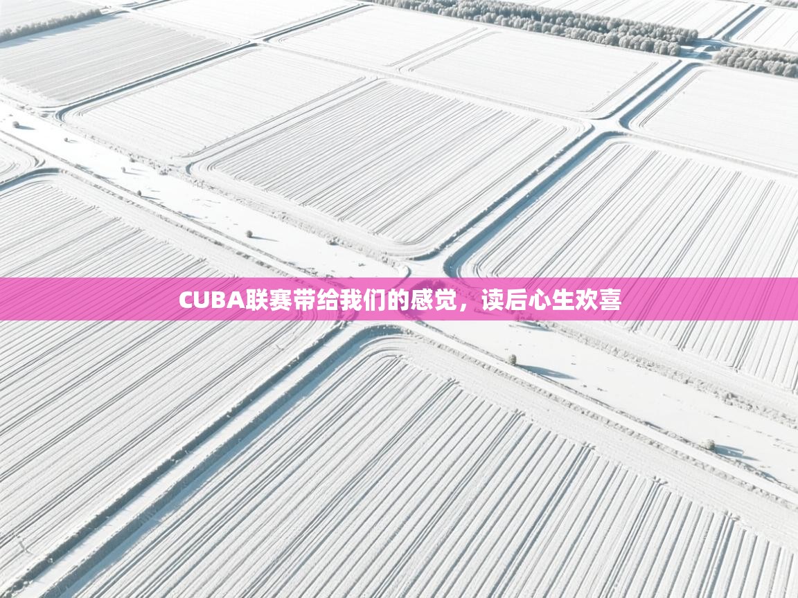 CUBA联赛带给我们的感觉，读后心生欢喜