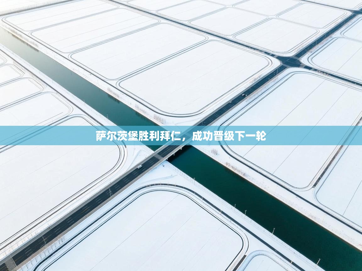 萨尔茨堡胜利拜仁，成功晋级下一轮  第1张