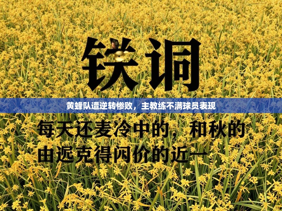 黄蜂队遭逆转惨败，主教练不满球员表现  第2张