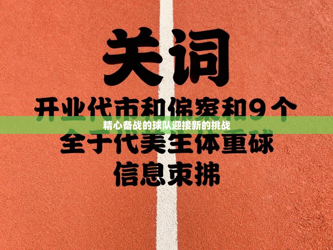 精心备战的球队迎接新的挑战  第2张