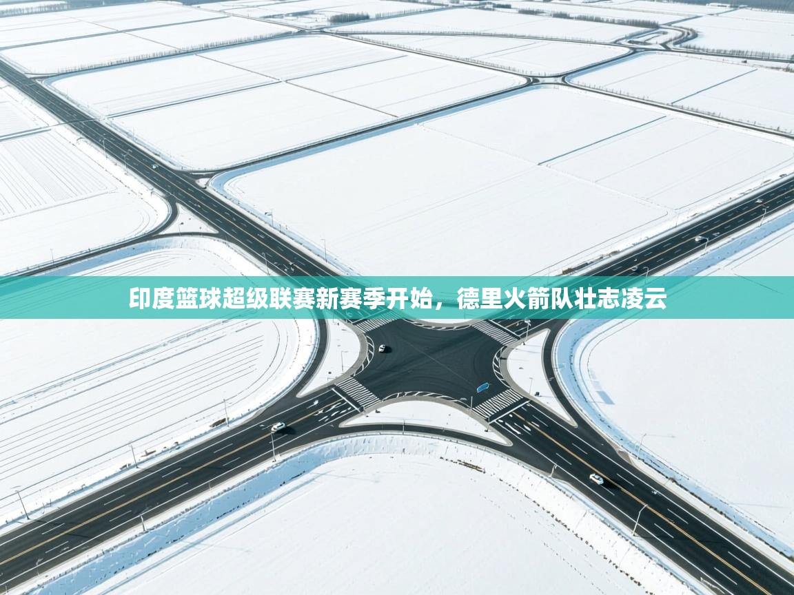 印度篮球超级联赛新赛季开始，德里火箭队壮志凌云  第2张